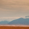 Ngorongoro Crater, a lone Zebra in the dry Crater